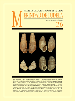 Revista Del Centro De Estudios