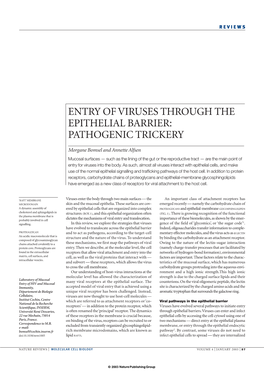 Entry of Viruses Through the Epithelial Barrier: Pathogenic Trickery