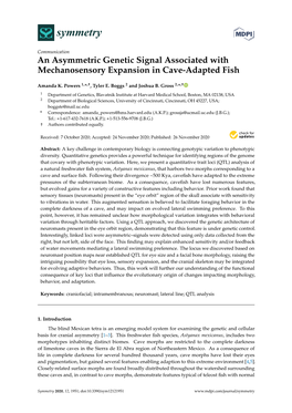 An Asymmetric Genetic Signal Associated with Mechanosensory Expansion in Cave-Adapted Fish