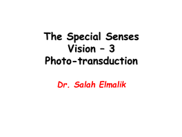 Physiology of Vision