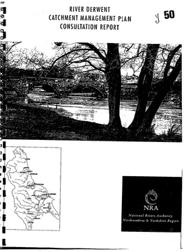 River Derwent Catchment Management Plan