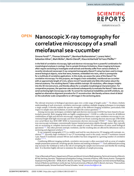 Nanoscopic X-Ray Tomography for Correlative Microscopy of a Small