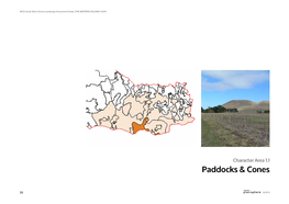 Paddocks & Cones