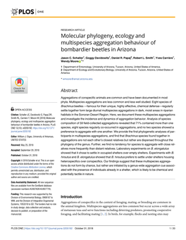 Molecular Phylogeny, Ecology and Multispecies Aggregation Behaviour of Bombardier Beetles in Arizona