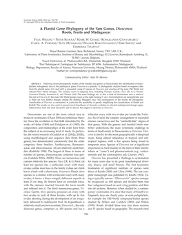 A Plastid Gene Phylogeny of the Yam Genus, Dioscorea: Roots, Fruits and Madagascar