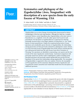 Systematics and Phylogeny of the Zygodactylidae (Aves, Neognathae) with Description of a New Species from the Early Eocene of Wyoming, USA