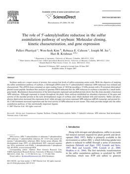 The Role of 50-Adenylylsulfate Reductase in the Sulfur Assimilation Pathway of Soybean: Molecular Cloning, Kinetic Characterization, and Gene Expression