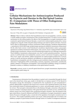 Cellular Mechanisms for Antinociception Produced by Oxytocin and Orexins in the Rat Spinal Lamina II—Comparison with Those of Other Endogenous Pain Modulators