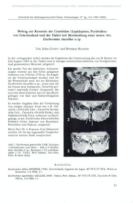 Lepidoptera, Pyraloidea) Von Griechenland Und Der Türkei Mit Beschreibung Einer Neuen Art, Euchromius Siuxellus N.Sp