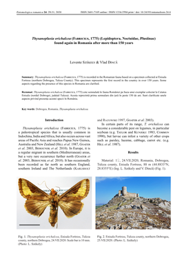 Thysanoplusia Orichalcea (Fabricius, 1775) (Lepidoptera, Noctuidae, Plusiinae) Found Again in Romania After More Than 150 Years