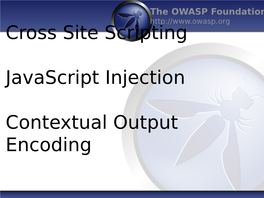 Cross Site Scripting Javascript Injection Contextual Output Encoding