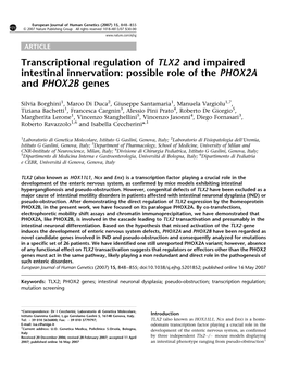 Transcriptional Regulation of TLX2 and Impaired Intestinal Innervation: Possible Role of the PHOX2A and PHOX2B Genes