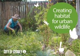 Creating Habitat for Urban Wildlife