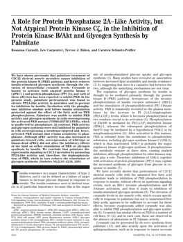 A Role for Protein Phosphatase 2A–Like Activity, but Not Atypical Protein Kinase C , in the Inhibition of Protein Kinase B/Akt