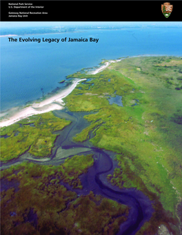 The Evolving Legacy of Jamaica Bay