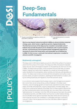 DOSI Policy Brief – Deep-Sea Fundamentals