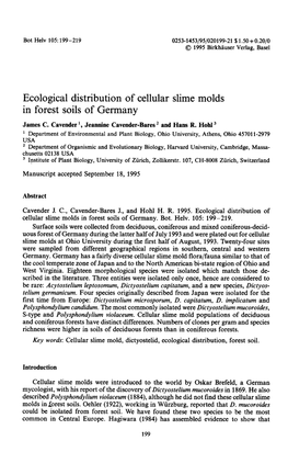 Ecological Distribution of Cellular Slime Molds in Forest Soils of Germany James C