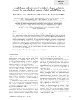 Morphological and Morphometric Study of Collagen and Elastic Fibers of the Gastroduodenal Junction of Adult and Old Wistar Rats