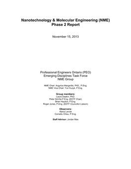 Nanotechnology & Molecular Engineering (NME) Phase 2 Report