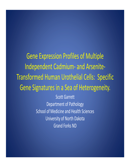 Gene Expression Profiles of Multiple Independent Cadmium- And