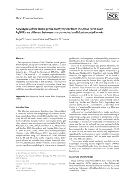 Karyotypes of the Lenok Genus Brachymystax from the Amur River Basin – Agnors Are Diff Erent Between Sharp-Snouted and Blunt-Snouted Lenoks