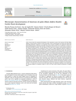 Microscopic Characterization of American Oil Palm (Elaeis Oleifera (Kunth) T Cortés) ﬂoral Development