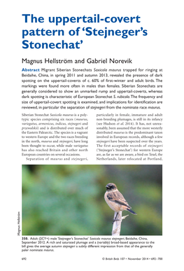 'Stejneger's Stonechat'