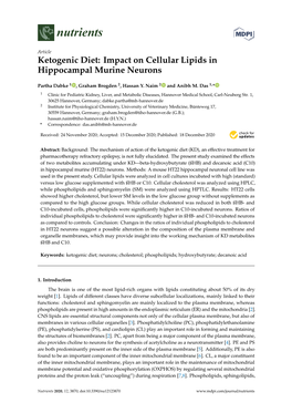 Ketogenic Diet: Impact on Cellular Lipids in Hippocampal Murine Neurons