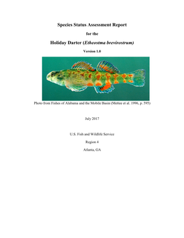 Species Status Assessment Report Holiday Darter