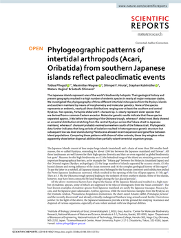 Phylogeographic Patterns of Intertidal Arthropods (Acari, Oribatida)