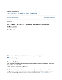 Endothelial Cell Factors Involved in Bartonella Bacilliformis Pathogenesis