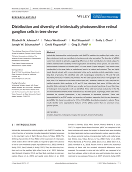 Distribution and Diversity of Intrinsically Photosensitive Retinal Ganglion Cells in Tree Shrew