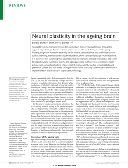 Neural Plasticity in the Ageing Brain