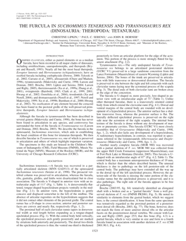 The Furcula in Suchomimus Tenerensis and Tyrannosaurus Rex (Dinosauria: Theropoda: Tetanurae)