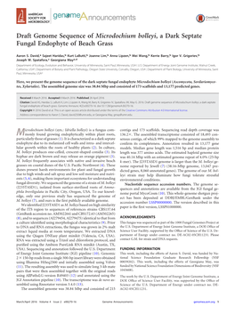 Draft Genome Sequence of Microdochium Bolleyi, a Dark Septate Fungal Endophyte of Beach Grass