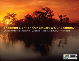 Shedding Light on Our Estuary & Our Economy