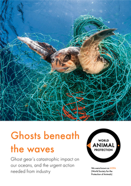 Ghosts Beneath the Waves