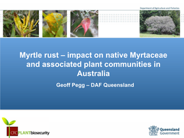 Myrtle Rust – Impact on Native Myrtaceae and Associated Plant Communities in Australia Geoff Pegg – DAF Queensland