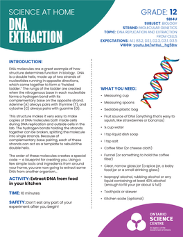 DNA Extraction Is the First Step in a Lot of Work in Genetics, Including Genetic Testing and Genetic Engineering