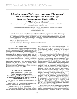 Nom. Nov. (Platanaceae) and Associated Foliage of the Platanoid Type from the Cenomanian of Western Siberia N