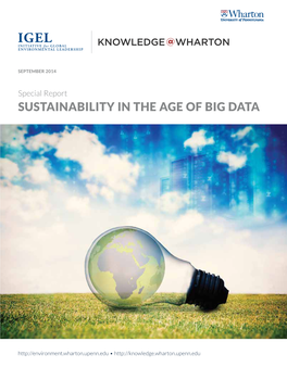 Sustainability in the Age of Big Data