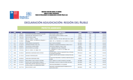 Declaración Adjudicación: Región Del Ñuble