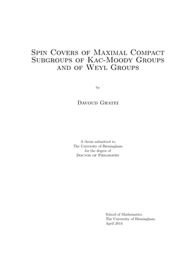 Spin Covers of Maximal Compact Subgroups of Kac-Moody Groups and of Weyl Groups