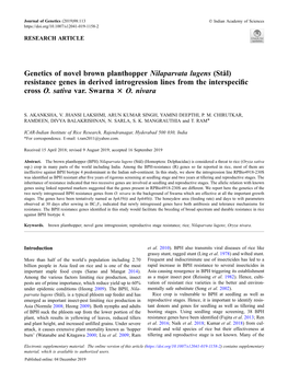 (Stål) Resistance Genes in Derived Introgression Lines from the Interspe