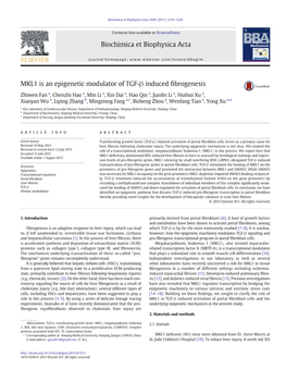 MKL1 Is an Epigenetic Modulator of TGF-Β Induced Fibrogenesis