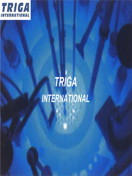 TRIGA INTERNATIONAL History Of