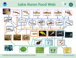 Lake Huron Food Web MENT of C