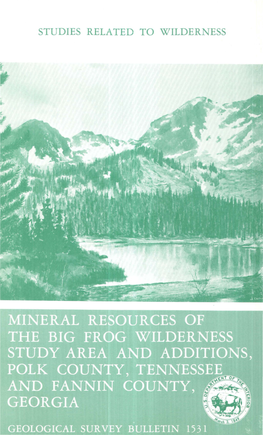 Mineral Resources of the Big Frog Wilderness Study Area and Additions, Polk County, Tennessee, and Fannin County, Georgia