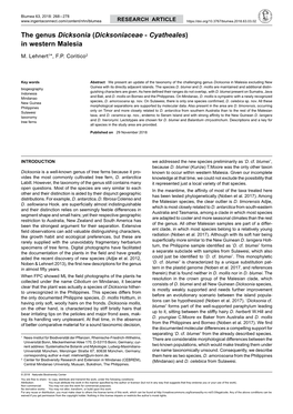 The Genus Dicksonia (Dicksoniaceae - Cyatheales) in Western Malesia