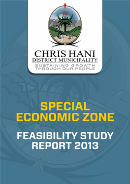 SPECIAL ECONOMIC ZONE Feasibility Study REPORT 2013